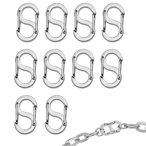 JAXICREY 10 Stück Karabiner Mini S Karabiner Klein Edelstahl Verschluss Verbindungsstück Silbrig Mini