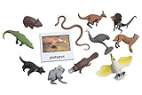 Curious Minds Busy Bags Montessori Australian Animal Match Cards and Figurines. Nomenclature Science Work Continent Box
