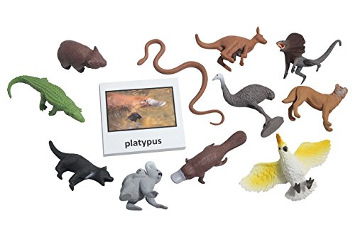 Montessori Australian Animal Match Cards and Figurines. Nomenclature Science Work Continent Box
