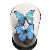 ▶ Größe: 15 cm (Durchmesser) * 27 cm （Höhe）