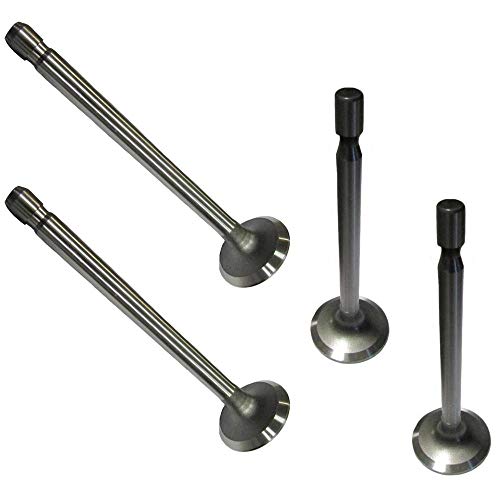 RAParts One New Intake & Exhaust Valve Set Fits Briggs