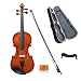 Paititi, 4-String Violin (PTTVNP002-4/4)