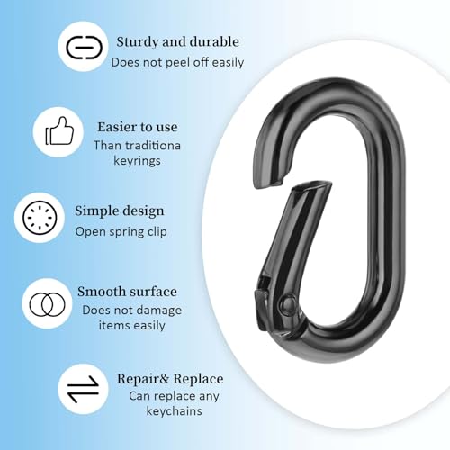10 Stück Karabinerhaken Klein Schlüsselanhänger,Mini Karabinerhaken Federspaltringe für Schlüsselanhänger Rucksack Anhänger für Outdoor-Camping, Schaukel, Hängematte,Rucksack Anhänger-Schwarz