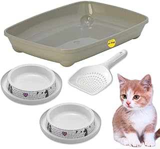 CAT CENTRE Kitten Small Grey Open Litter Tray + 2x Trendy Bowls + Scoop Bundle Box Pan Toilet Training 37cm Loo Cat Feed Non-Slip Anti-Spill Bowls New Kitten Starter Pack Kit Set Step 6cm