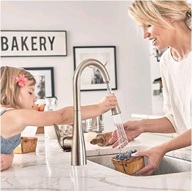 Replacement Hose Kit For Moen Pulldown Kitchen Faucets 150259 Hose Replacement Compatible With Moen Pulldown/Pullout Kitchen Sink Faucets #TOP5