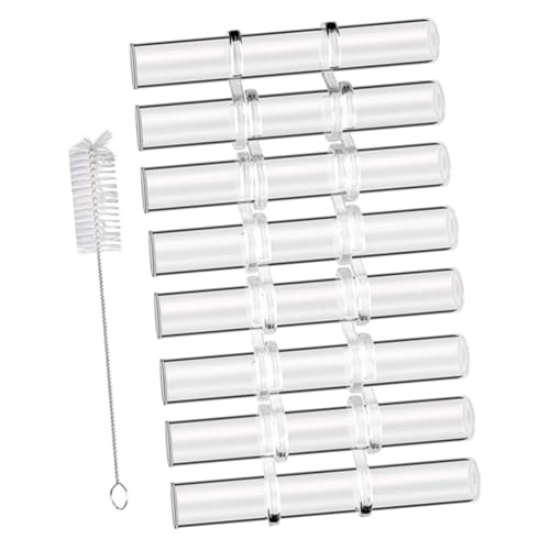 Hemobllo Jarrones de Vidrio para Propagación Hidropónica de Plantas Estación de Escritorio Transparente con Base Resistente y Cepillo Incluido Decoración para Hogar y Oficina