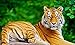 Bellissimo Animale Tigre Puzzle Da 200 Pezzi Per Adulti Gioco Di Puzzle Per La Decorazione Della Casa Per La Decorazione Della Parete Fai-Da-Te