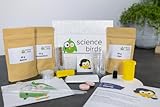 science birds