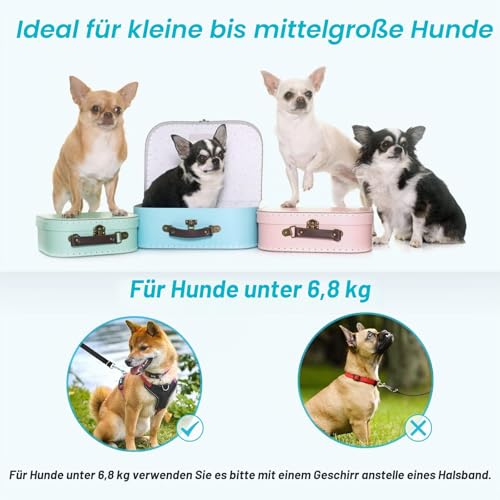 oneisall Freihandleinen für kleine & mittelgroße Hunde, Hundeleine 2.5m verstellbar Übungsleine & Führleine | Nylon Doppelleine mit 2 Karabiner Schwarz
