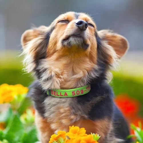 Personalisierte reflektierende Hundehalsbänder, gestickter Name/Telefonnummer, D-Ring-Schnalle mit Schnellverschluss, weiches Nylon, personalisiertes verstellbares Haustierhalsband, 4 Größen für Hund