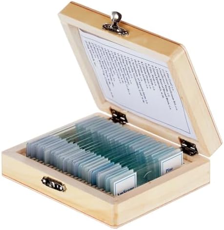 - AmScope PS25 Prepared Microscope Slide Set for Basic Biological Science Education, 25 Slides, Includes Fitted Wooden Case, Brown