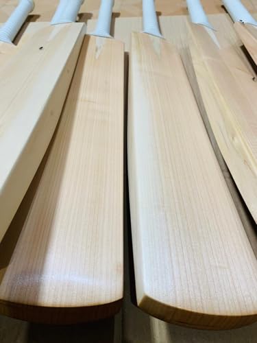Image of English Willow Cricket Bat for Men and Women | Full Size | Short Handle | Lightweight | Free Cover