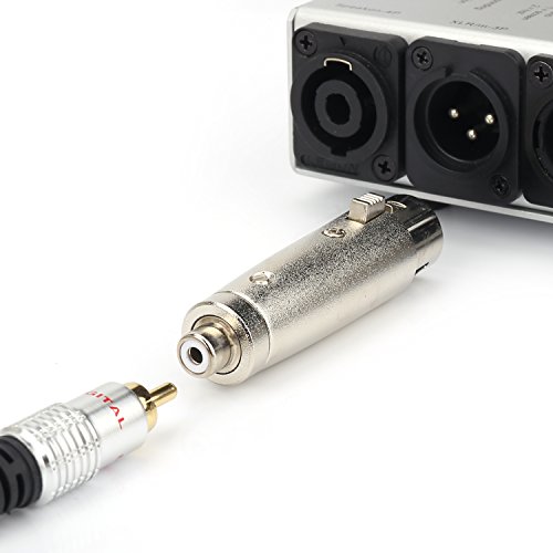 Tisino RCA femmina a 3 pin XLR femmina audio