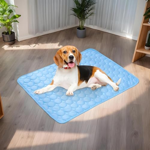 Cojín refrescante para perros: cuida a tu mejor amigo con comodidad transpirable 3