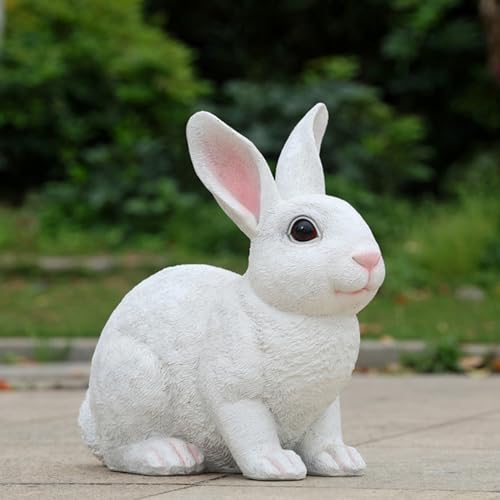 JAnjiaLxY K[fI[ig  u ^Cv2   K[fjOG K[fIuWF   CeA AEghA   O K[f  Ő ̑p F  fR[V v[g Mtg