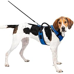 Arneses Miller PetSafe EasySport - Arnés para Perros Acolchado Ajustable con Asa de Control y Cinta Reflectante - Azul - Grande, L