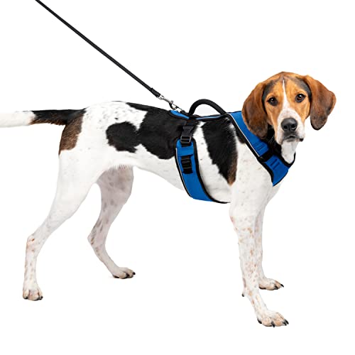 Petsafe Pettorina Easysport Petsafe: Pettorina Per Cani Imbottita...