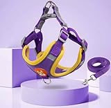 Top 10 Melhores Coleira de Cachorro para comprar em 2025 14 Coleira Peitoral para cachorro pequenos e médios com guia para pet colete confortável (Roxo, 7-10...