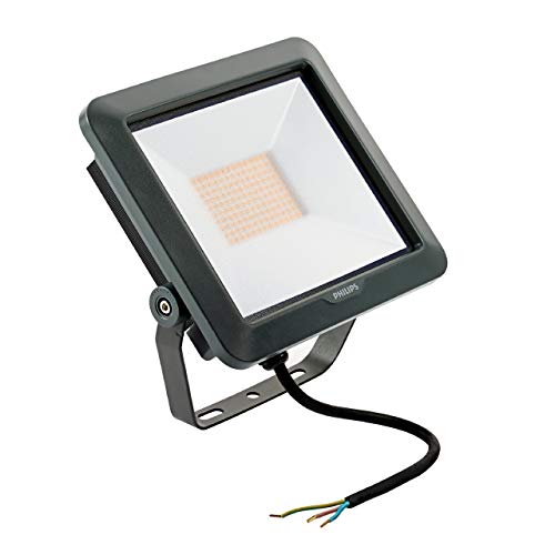 Philips BVP105 LED 50W 4500LM Negro Proyector LED Exterior 4000 K