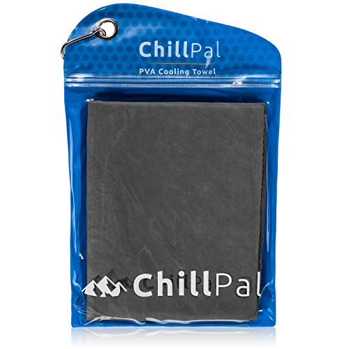 https://m.media-amazon.com/images/I/41WaPRUIKtL._SL500_.jpg