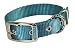 Hamilton Double Thick Nylon Deluxe Dog Collar, 1-Inch by 22-Inch, Teal
