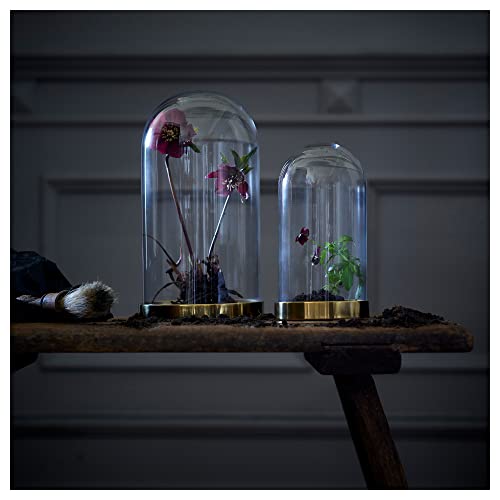 Dôme en verre avec base 19 cm ProTuning BEGÅVNING cloche présentation