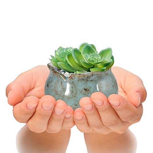 Laerjin Succulent Pots, 4 Inch Ceramic Plant Pots And Drainage Hole With Bamboo Tray, Colorful Flower Planter Pot, Pack Of 6 (Plants Not Included) #TOP4