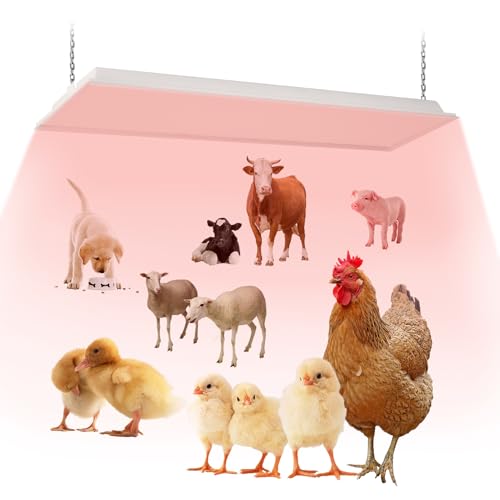 40x11 Large Overhead Infrared Heater 150W Chick Brooder Lamp for 50-75 Chicks Safe and Energy Efficient Adjustable Hanging Heat Lamp with Uniform Heat for Chicken Coops Pigs Indoor & Outdoor