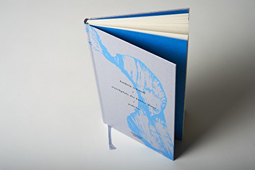 Waschplatz der kühlen dinge: Gedichte