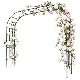 CaroTex Galvanized Steel Garden Arch