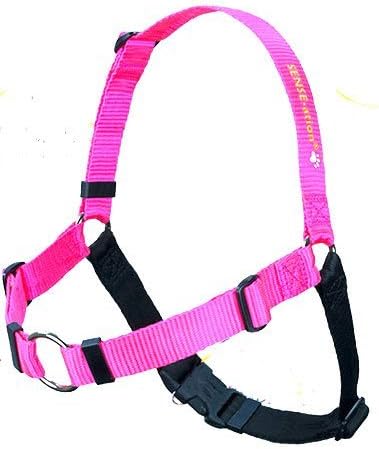 The Original No-Pull Training (Pink, Small)