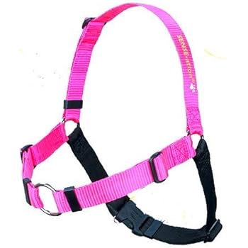 sensible dog harness