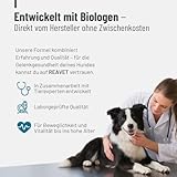 ReaVET Gelenktabletten für Hunde – Mit Grünlippmuschel, Glucosamin, MSM & Teufelskralle – Unterstützt Gelenkfunktion & Beweglichkeit – Bewährt bei älteren & aktiven Hunden – 180 Stück
