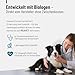 ReaVET Gelenktabletten für Hunde – Mit Grünlippmuschel, Glucosamin, MSM & Teufelskralle – Unterstützt Gelenkfunktion & Beweglichkeit – Bewährt bei älteren & aktiven Hunden – 180 Stück