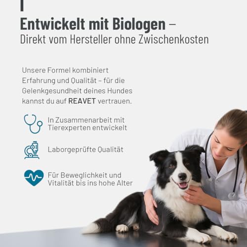 ReaVET Gelenktabletten für Hunde – Mit Grünlippmuschel, Glucosamin, MSM & Teufelskralle – Unterstützt Gelenkfunktion & Beweglichkeit – Bewährt bei älteren & aktiven Hunden – 180 Stück