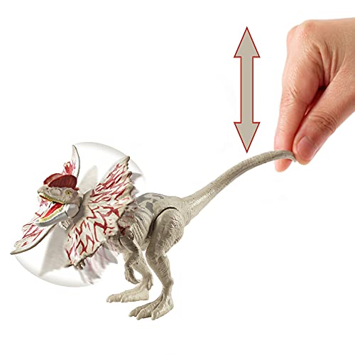 Jurassic World GWY30 - Dino-Angriff Dilophosaurus Dinosaurier-Actionfigur mit beweglichen Gelenken, Dinosaurier… – Bild 3