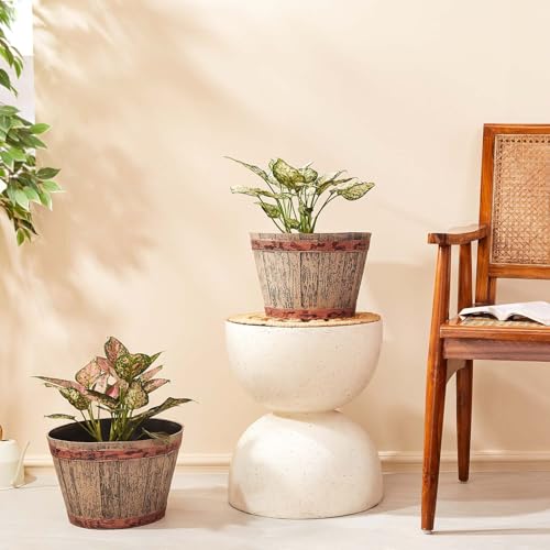 Amazon Brand- Solimo Indoor and Outdoor Round 14 Inch Barrel Flower Planter Pot Best for Terrace/Balcony/Home/Office Decor - Set of 2