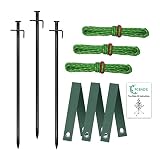 FCENDS Tree Stake Kit, Heavy Duty Anchor Support Kit for Young Trees Against Bad Weather, Tree Strai