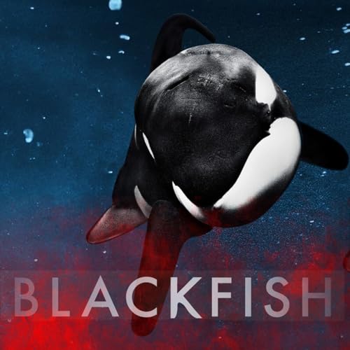 Blackfish Explained: Orca Captivity, SeaWorld, and the Story of Tilikum