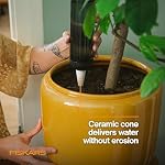 Fiskars LifeWell Watering Spike for Indoor Plants – Self-Watering Device with Transparent Reservoir, Porous Ceramic Cone, UV-Resistant & Recycled Plastic, 11.75 oz