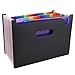 Septpenta Accordian File Organizer, 24 Pockets Large Capacity Expanding File Folders, Portable Monthly Bill Receipt Organizer, Categorized Storage for Office, School, Business and Home Use