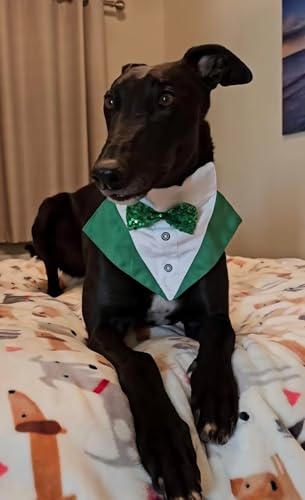Disfraz de tuxedo para perro St. Patrick's Day talla S miniatura 7