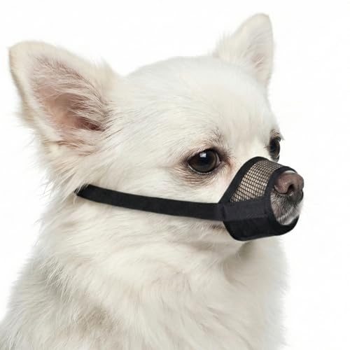 Image of Evollax Muzzle for Small Dog - Soft Air Mesh XS Dog Muzzle for Small Dogs | Perfect for Barking and Biting Prevention | Puppy Mussels for Grooming Allows Panting & Drinking
