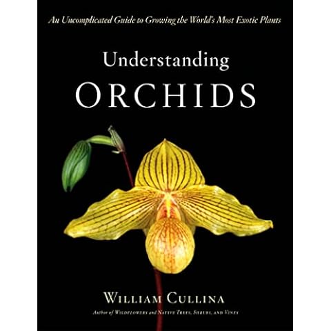 Understanding Orchids: An Uncomplicated Guide to Growing the World's Most Exotic Plants Cover