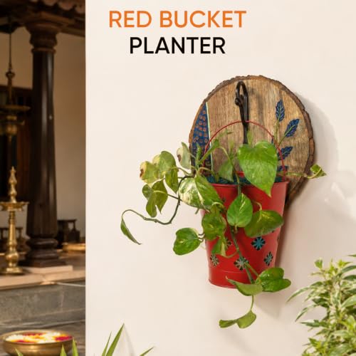 Image of AAKRITI ART CREATIONS Red Bucket Metal Planter on a Round Wall Hook