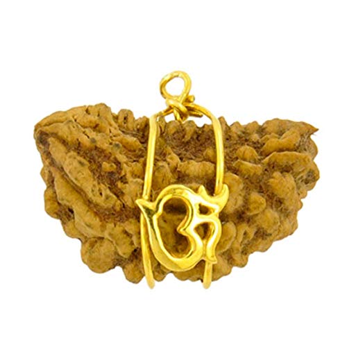 Gemsonclick Natural 1 Mukhi Una Cara Colgante de oración de Rudraksha Grano de Oro OM Locket Plateado HealingC hakra Cover