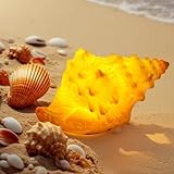 Nurluce Conch Shell Night Lights USB Powered 3 Lighting Mode Color Changing Dimmable Sea Shell Lamps Beach Themed Seashell Decor Nightlights for Kids Adults Bedroom Nightstands Desktop Bedside