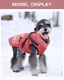 Hundemantel Hundejacken mit Geschirr, Winter warme Jacke Winddicht Haustier Kleidung mit Tasche Design Schneeanzug Hundejacken für kleine mittlere Hunde (Rot, M)