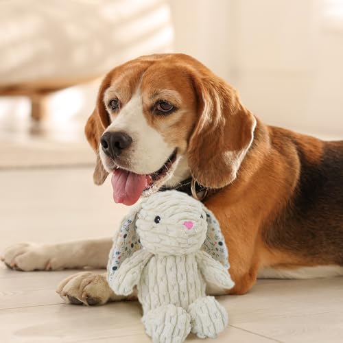 Linzy Plush Floral Bunny Dog Toy, Soft Squeaky Chew Toy for Small Medium Large Dogs, White, Interactive Pet Toy, 12 Inch