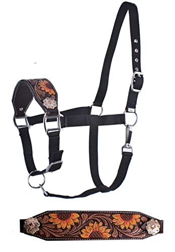 Showman Bronc Halter w/Hand Painted Sunflower Leather Noseband